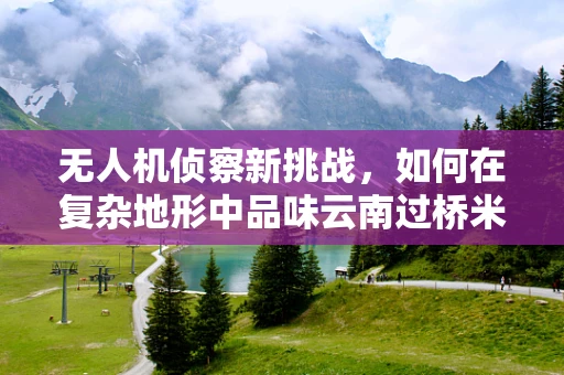 无人机侦察新挑战，如何在复杂地形中品味云南过桥米线的秘密？