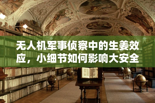 无人机军事侦察中的生姜效应，小细节如何影响大安全？
