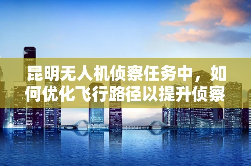 昆明无人机侦察任务中，如何优化飞行路径以提升侦察效率？