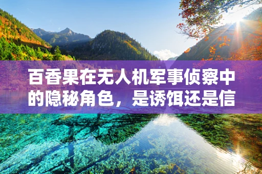 百香果在无人机军事侦察中的隐秘角色，是诱饵还是信息伪装？