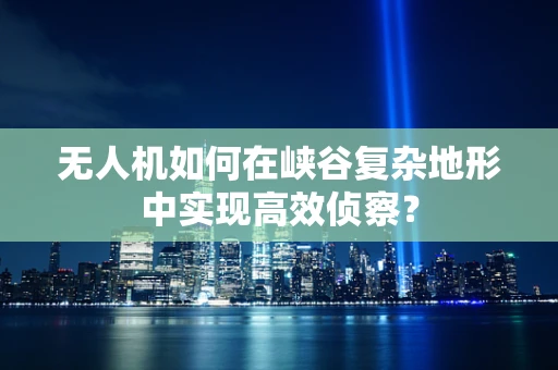 无人机如何在峡谷复杂地形中实现高效侦察？
