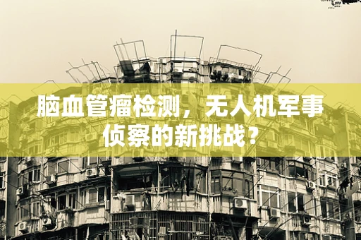 脑血管瘤检测，无人机军事侦察的新挑战？