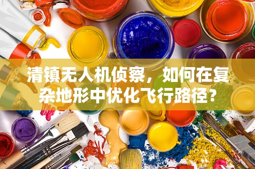 清镇无人机侦察，如何在复杂地形中优化飞行路径？