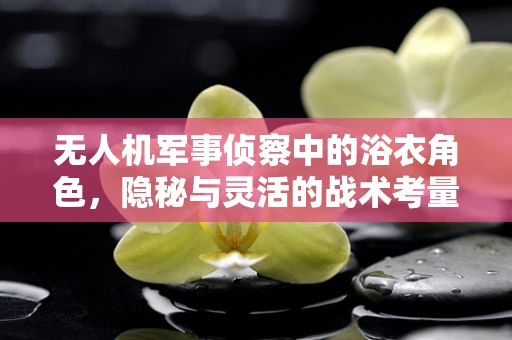 无人机军事侦察中的浴衣角色，隐秘与灵活的战术考量