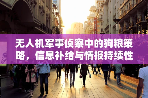 无人机军事侦察中的狗粮策略，信息补给与情报持续性的关键