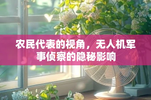 农民代表的视角，无人机军事侦察的隐秘影响