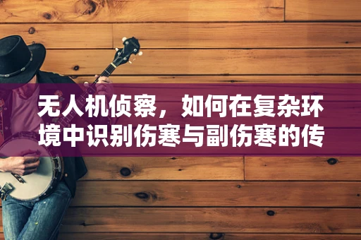 无人机侦察，如何在复杂环境中识别伤寒与副伤寒的传播风险？