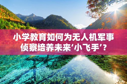 小学教育如何为无人机军事侦察培养未来‘小飞手’？