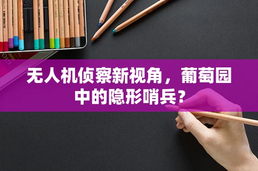 无人机侦察新视角，葡萄园中的隐形哨兵？