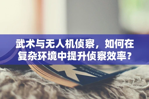 武术与无人机侦察，如何在复杂环境中提升侦察效率？