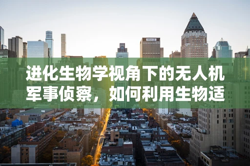 进化生物学视角下的无人机军事侦察，如何利用生物适应性优化无人机性能？