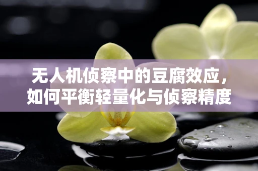 无人机侦察中的豆腐效应，如何平衡轻量化与侦察精度？