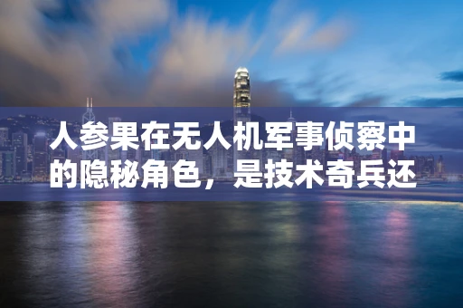 人参果在无人机军事侦察中的隐秘角色，是技术奇兵还是自然误导？