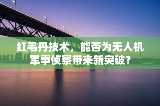红毛丹技术，能否为无人机军事侦察带来新突破？