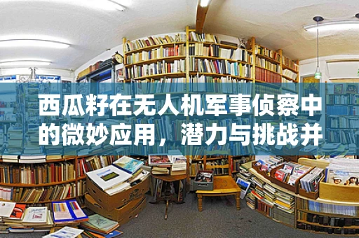 西瓜籽在无人机军事侦察中的微妙应用，潜力与挑战并存