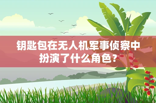 钥匙包在无人机军事侦察中扮演了什么角色？