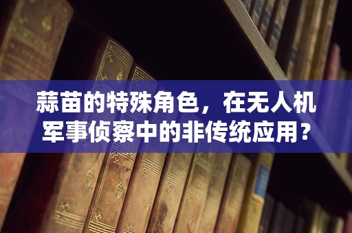 蒜苗的特殊角色，在无人机军事侦察中的非传统应用？