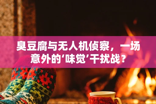 臭豆腐与无人机侦察，一场意外的‘味觉’干扰战？