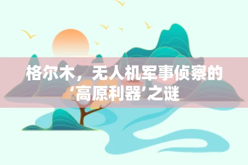 格尔木，无人机军事侦察的‘高原利器’之谜