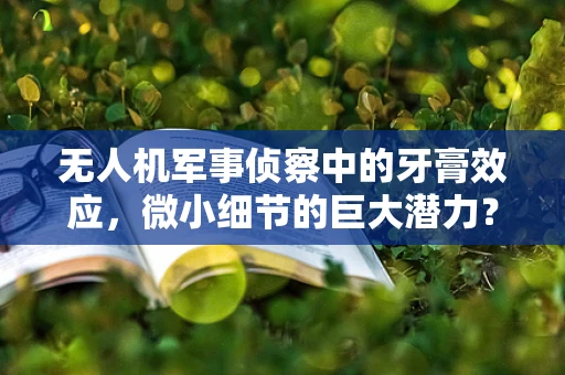 无人机军事侦察中的牙膏效应，微小细节的巨大潜力？