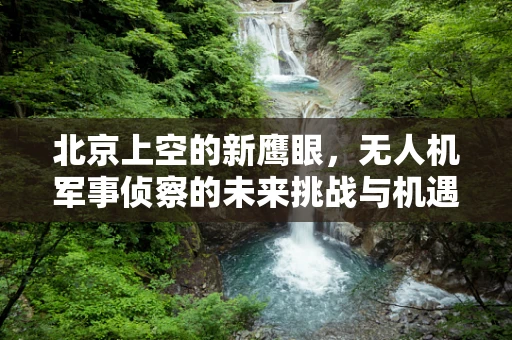 北京上空的新鹰眼，无人机军事侦察的未来挑战与机遇？