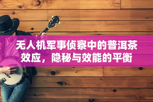 无人机军事侦察中的普洱茶效应，隐秘与效能的平衡