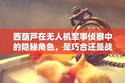 西葫芦在无人机军事侦察中的隐秘角色，是巧合还是战略暗语？