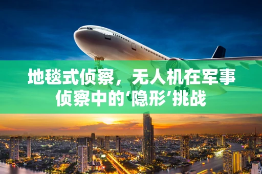 地毯式侦察，无人机在军事侦察中的‘隐形’挑战