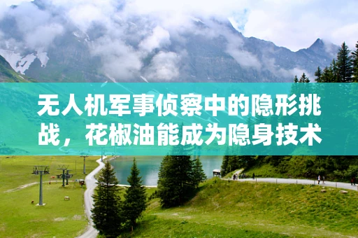 无人机军事侦察中的隐形挑战，花椒油能成为隐身技术的意外灵感吗？