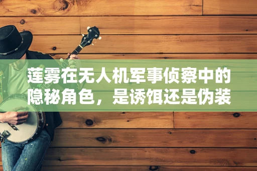 莲雾在无人机军事侦察中的隐秘角色，是诱饵还是伪装？