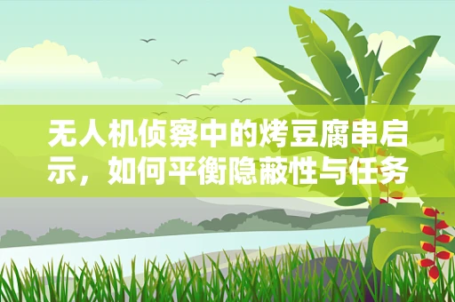 无人机侦察中的烤豆腐串启示，如何平衡隐蔽性与任务效率？