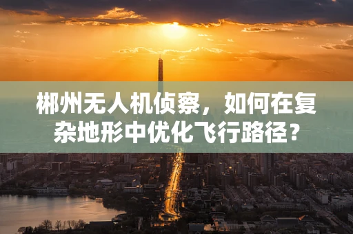 郴州无人机侦察，如何在复杂地形中优化飞行路径？