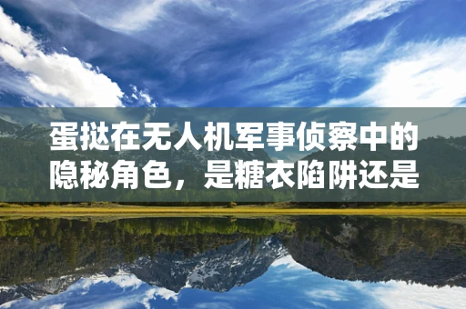 蛋挞在无人机军事侦察中的隐秘角色，是糖衣陷阱还是技术奇兵？