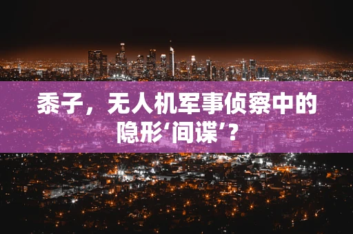 黍子，无人机军事侦察中的隐形‘间谍’？