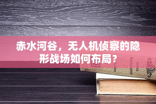 赤水河谷，无人机侦察的隐形战场如何布局？