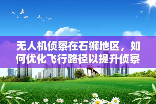 无人机侦察在石狮地区，如何优化飞行路径以提升侦察效率？