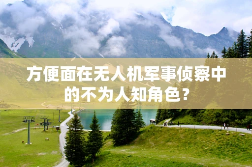 方便面在无人机军事侦察中的不为人知角色？