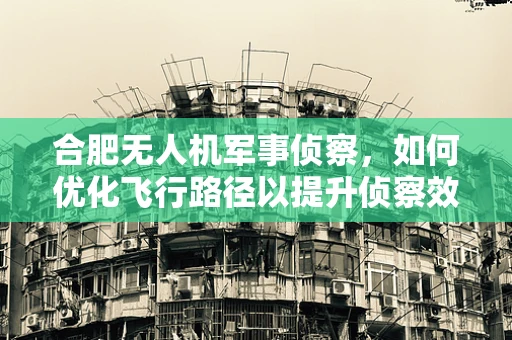 合肥无人机军事侦察，如何优化飞行路径以提升侦察效率？