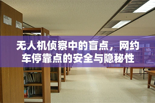 无人机侦察中的盲点，网约车停靠点的安全与隐秘性