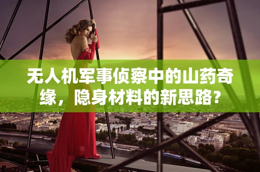 无人机军事侦察中的山药奇缘，隐身材料的新思路？