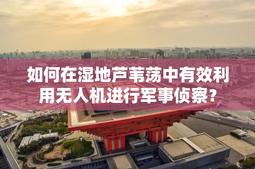 如何在湿地芦苇荡中有效利用无人机进行军事侦察？