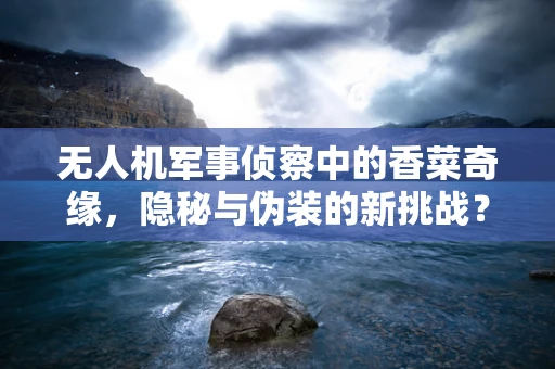 无人机军事侦察中的香菜奇缘，隐秘与伪装的新挑战？