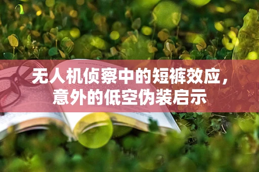 无人机侦察中的短裤效应，意外的低空伪装启示
