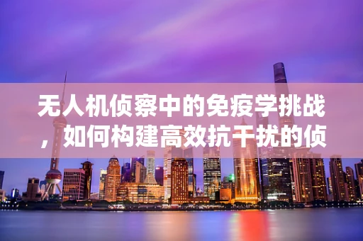无人机侦察中的免疫学挑战，如何构建高效抗干扰的侦察系统？