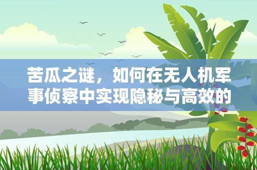 苦瓜之谜，如何在无人机军事侦察中实现隐秘与高效的平衡？