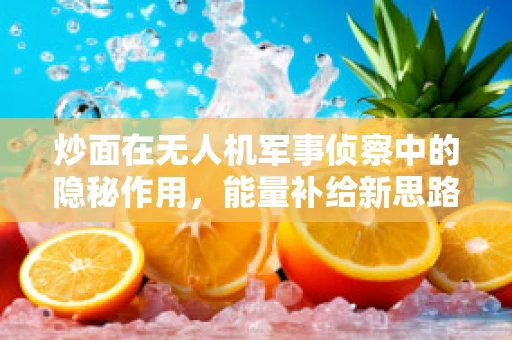 炒面在无人机军事侦察中的隐秘作用，能量补给新思路？