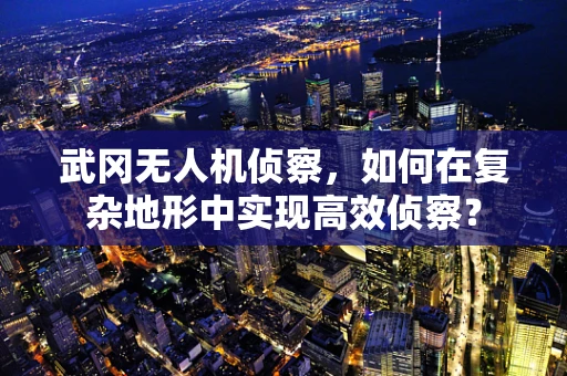 武冈无人机侦察，如何在复杂地形中实现高效侦察？