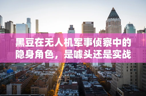 黑豆在无人机军事侦察中的隐身角色，是噱头还是实战利器？