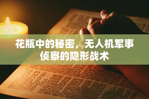 花瓶中的秘密，无人机军事侦察的隐形战术