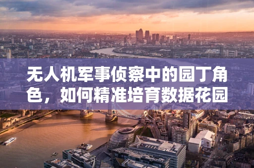 无人机军事侦察中的园丁角色，如何精准培育数据花园？